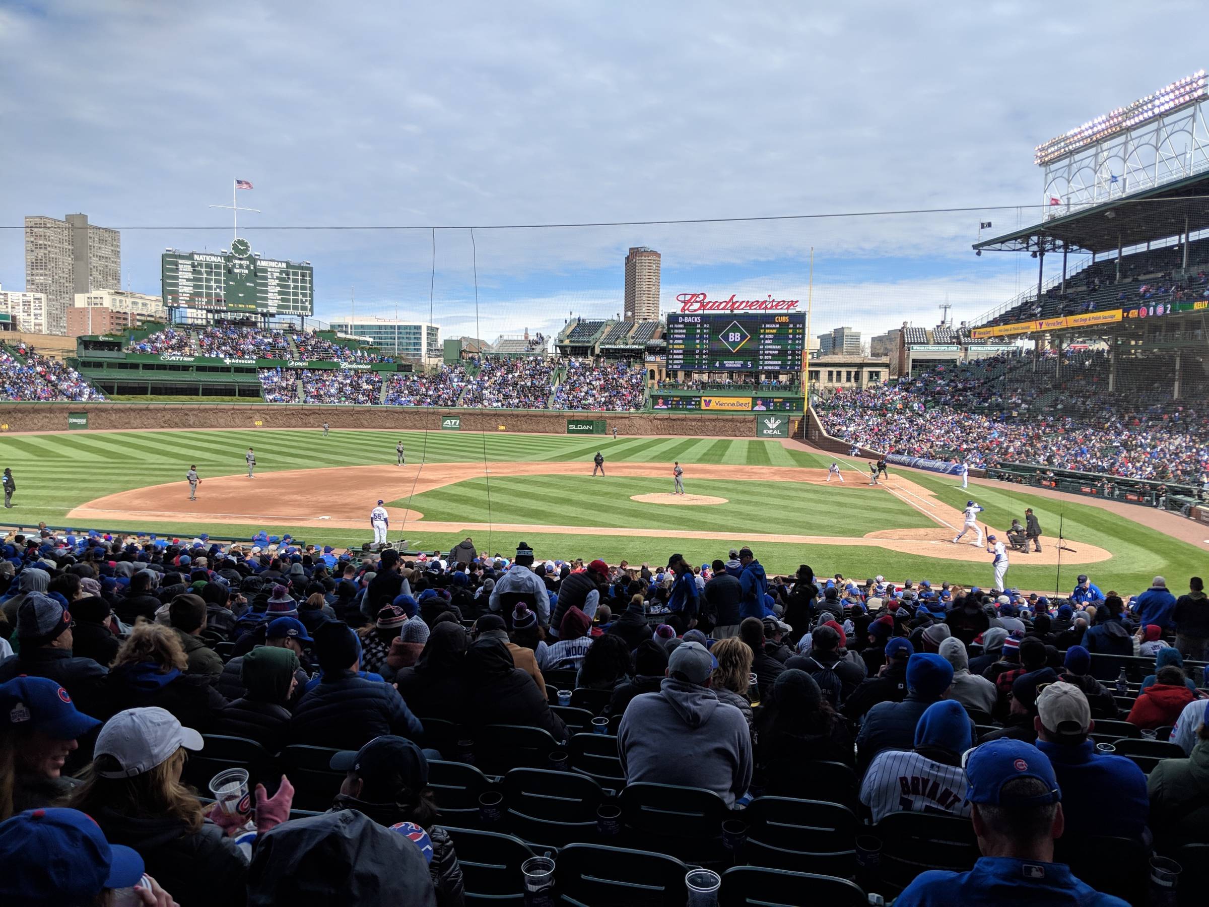 Wrigley Field Netting From Section 113