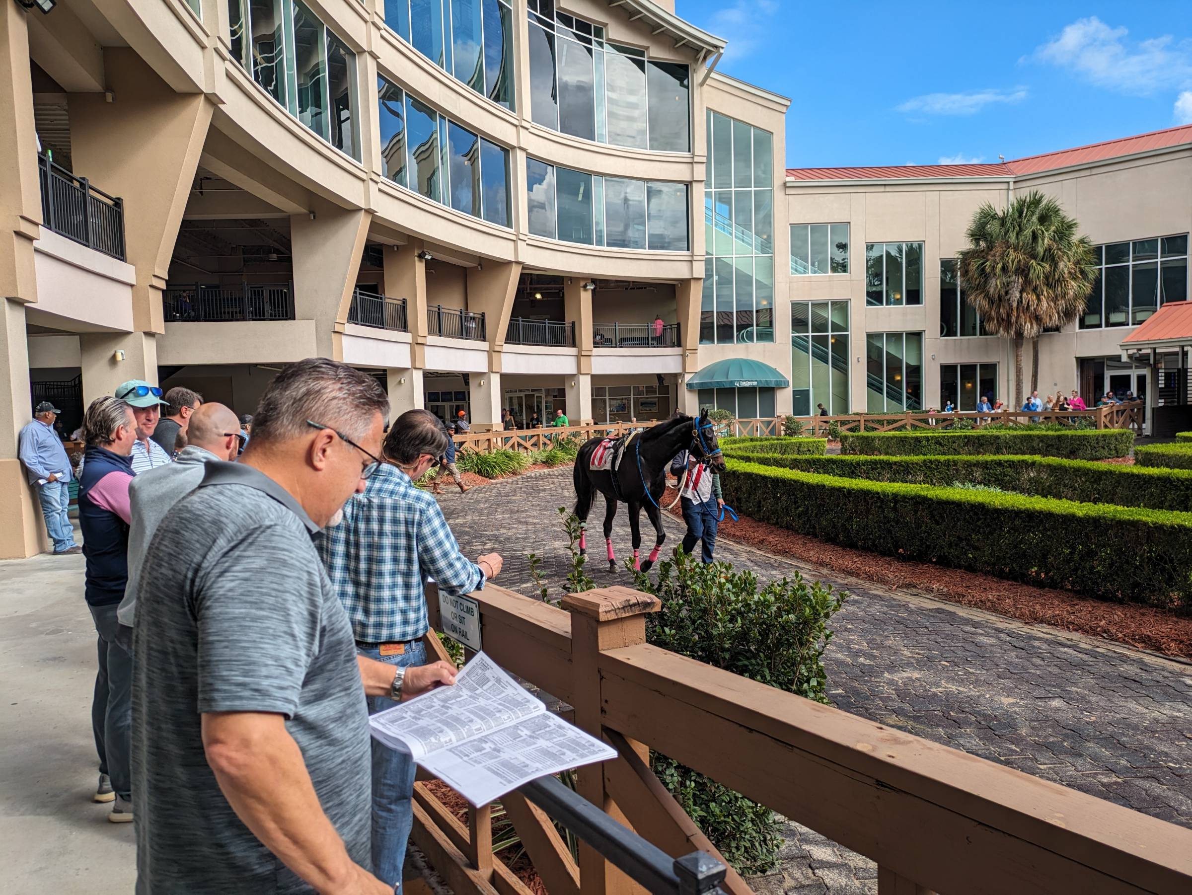 Paddock View at the Fair Grounds Race Course in New Orleans