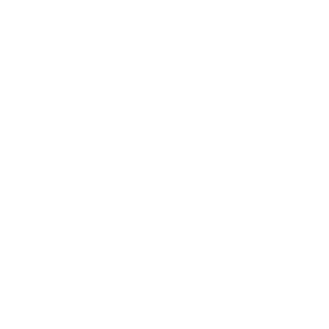 hockey glyph