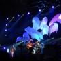 Photo of Yes Band