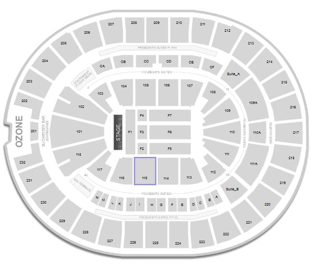 how is the view from section 115 row 12 seats 9 10 for a concert at amway arena seating charts