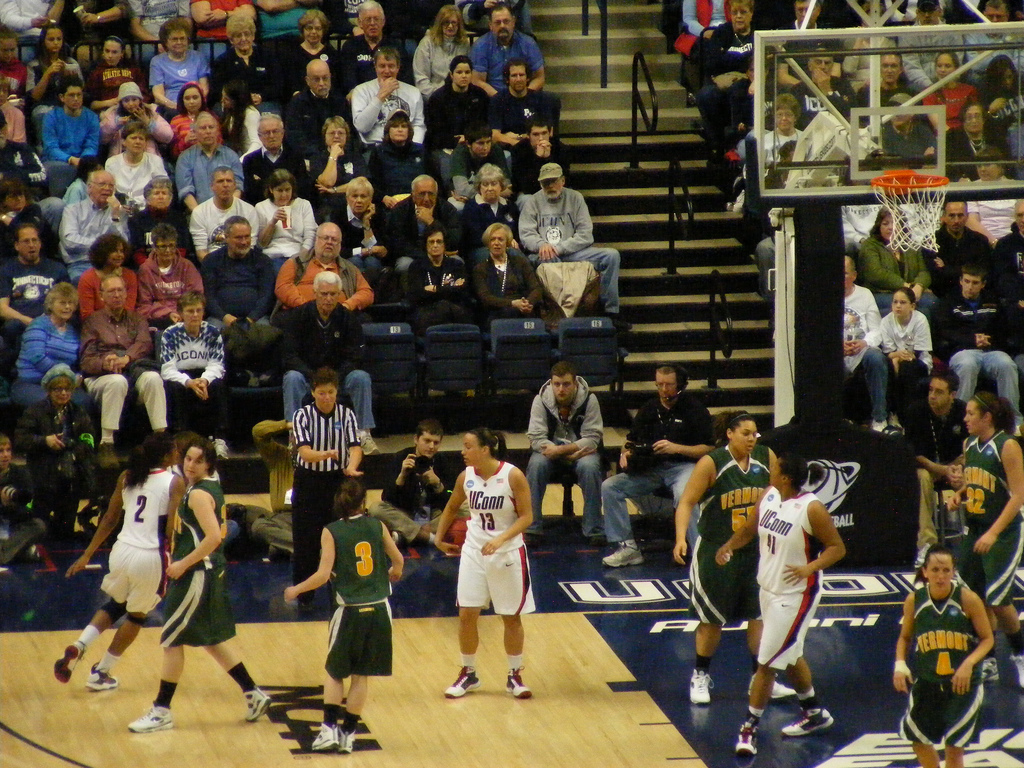 Gampel Pavilion chairbacks