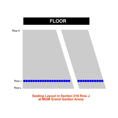 How Many Seats Are In Section 216 Row J At Mgm Grand Garden Arena