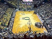 Matthew Knight Arena basketball