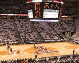 Reed Arena basketball