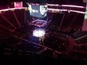 T-Mobile Arena fighting