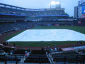 thumbnail of Section 115