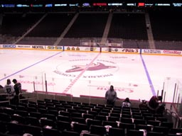 arizona coyotes gila river arena seating chart rateyourseats com coyotes seating chart
