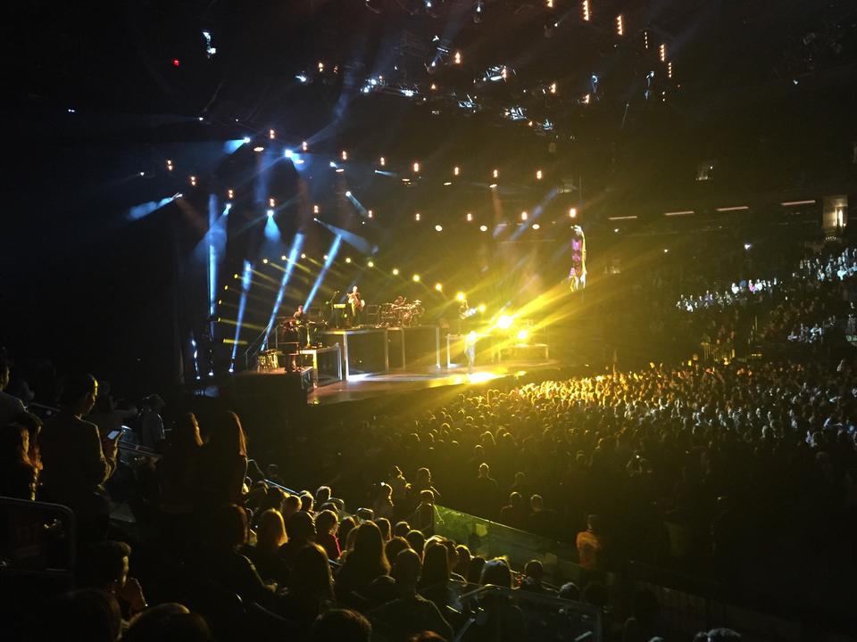 Section 117 At Madison Square Garden