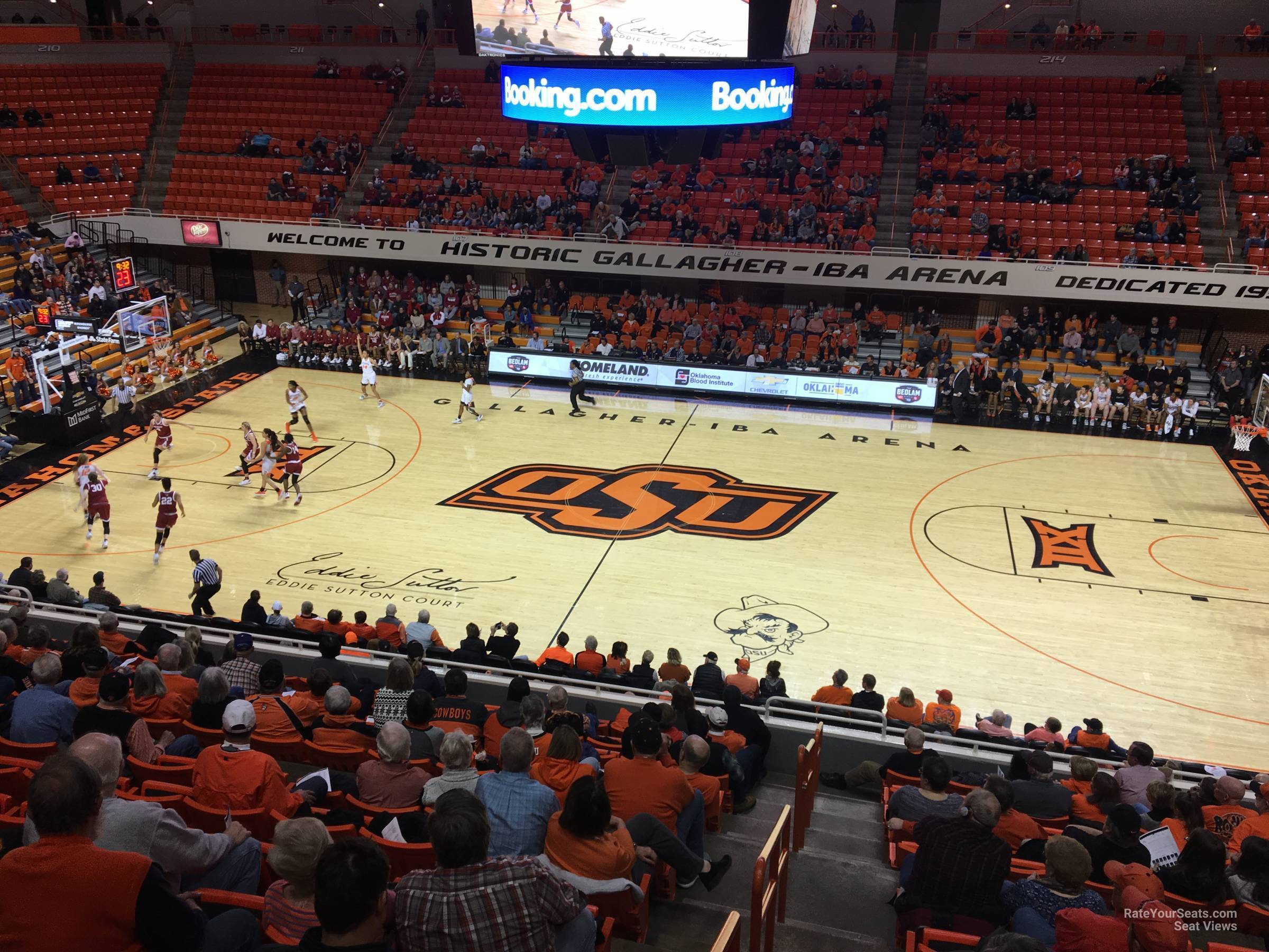 section 202, row 13 seat view  - gallagher-iba arena