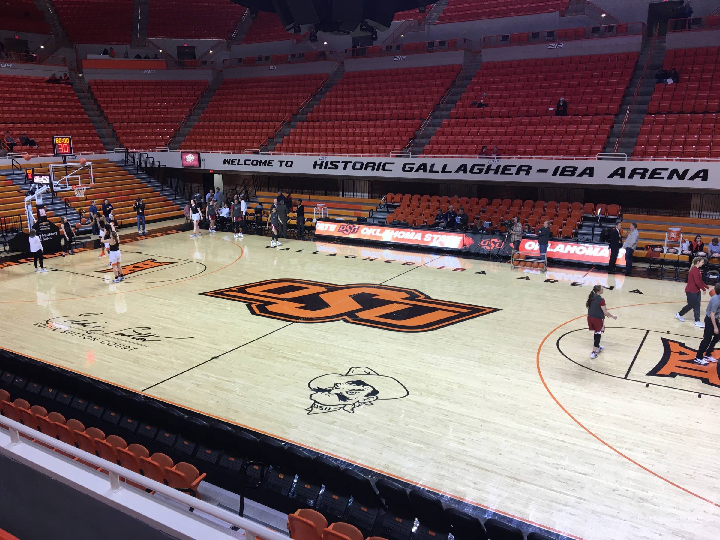 section 202, row 3 seat view  - gallagher-iba arena