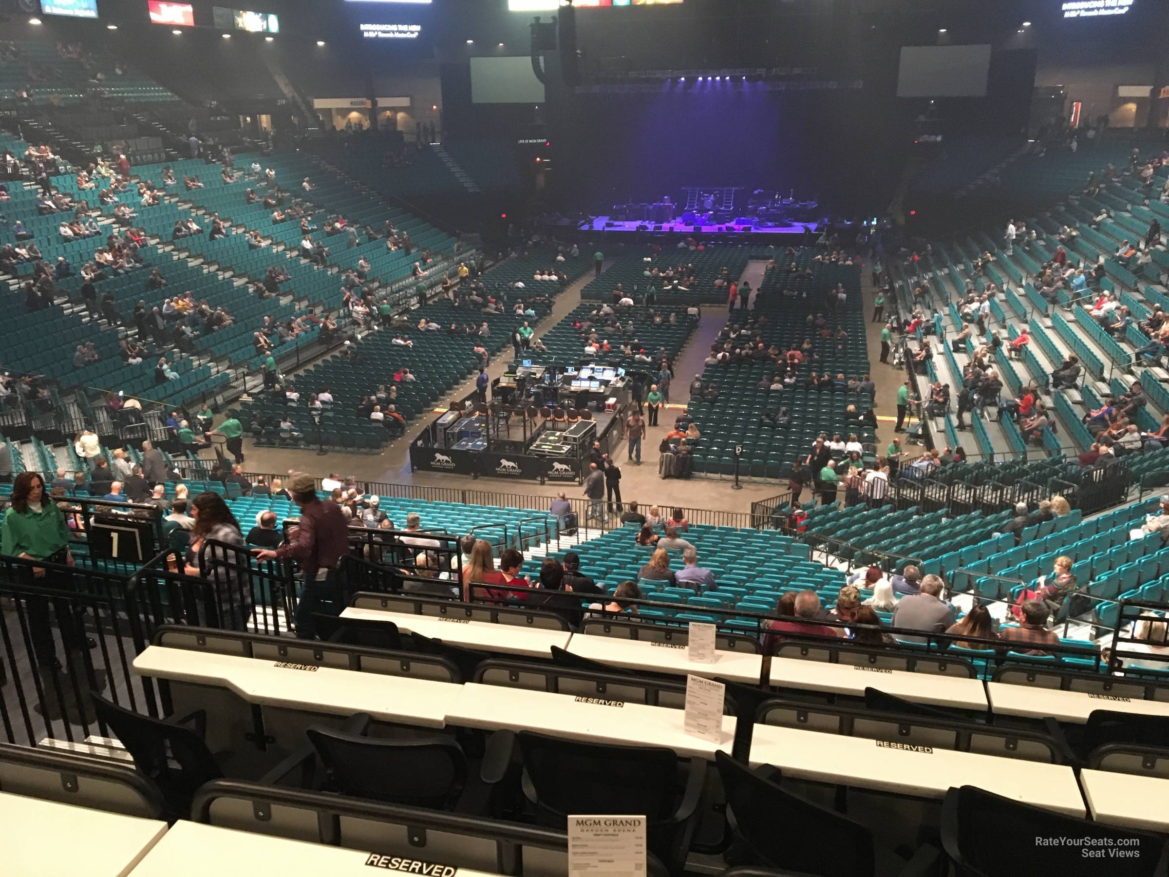 section 102, row ee seat view  - mgm grand garden arena