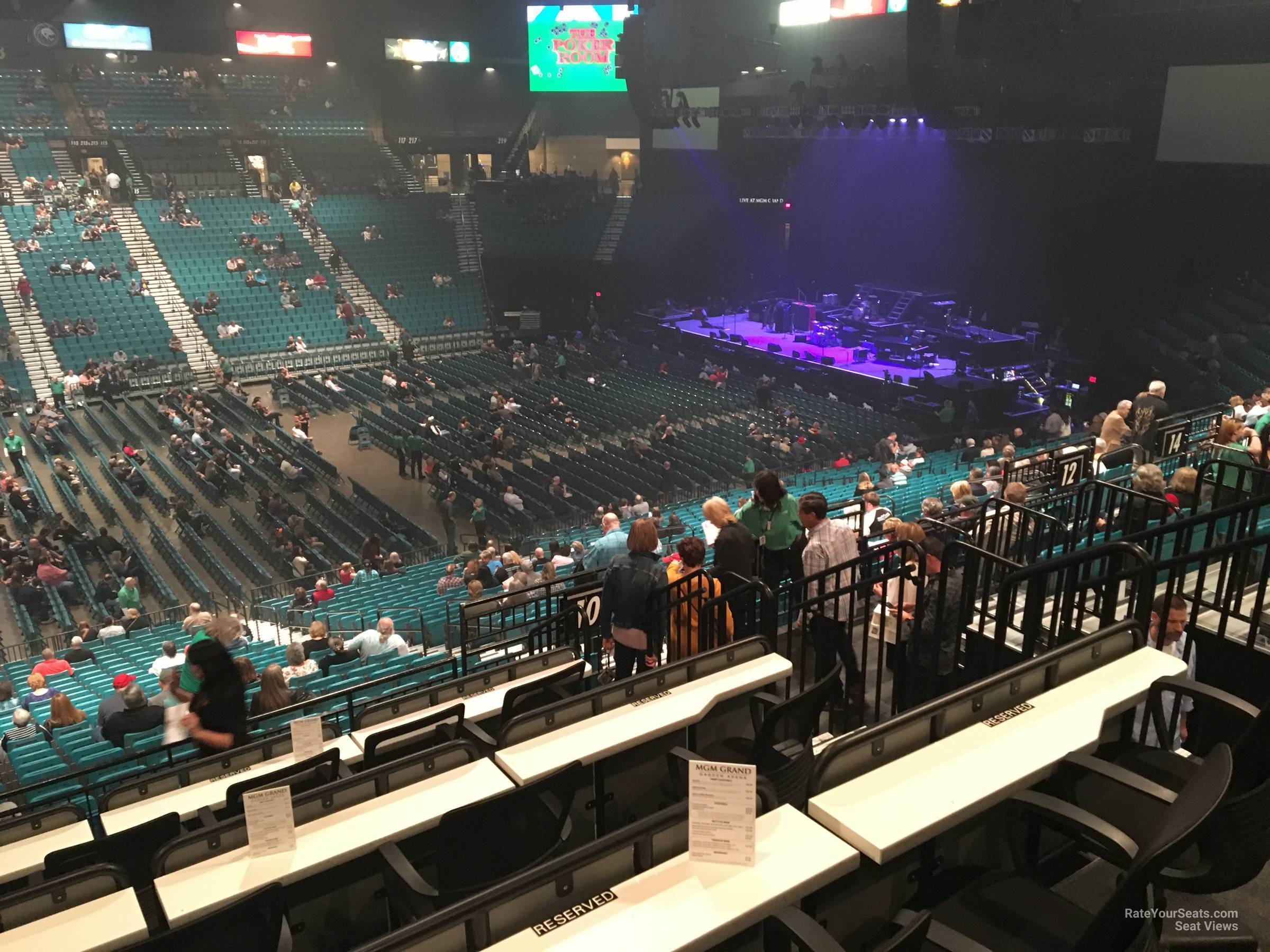 section 110, row ee seat view  - mgm grand garden arena