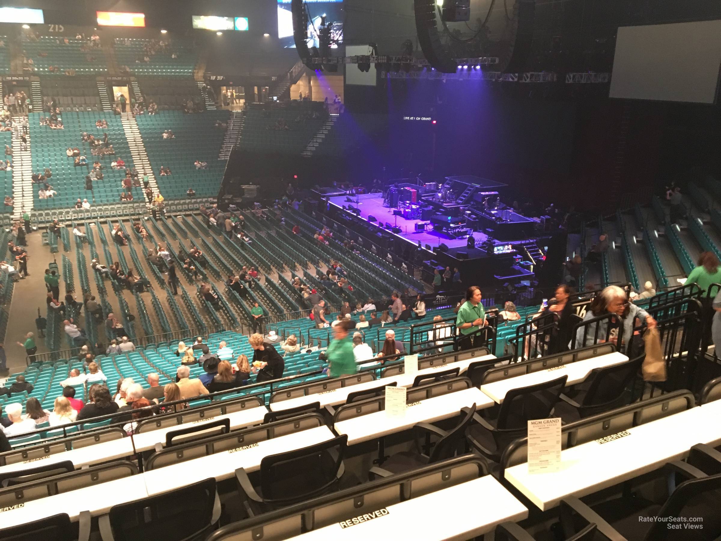 section 114, row ee seat view  - mgm grand garden arena