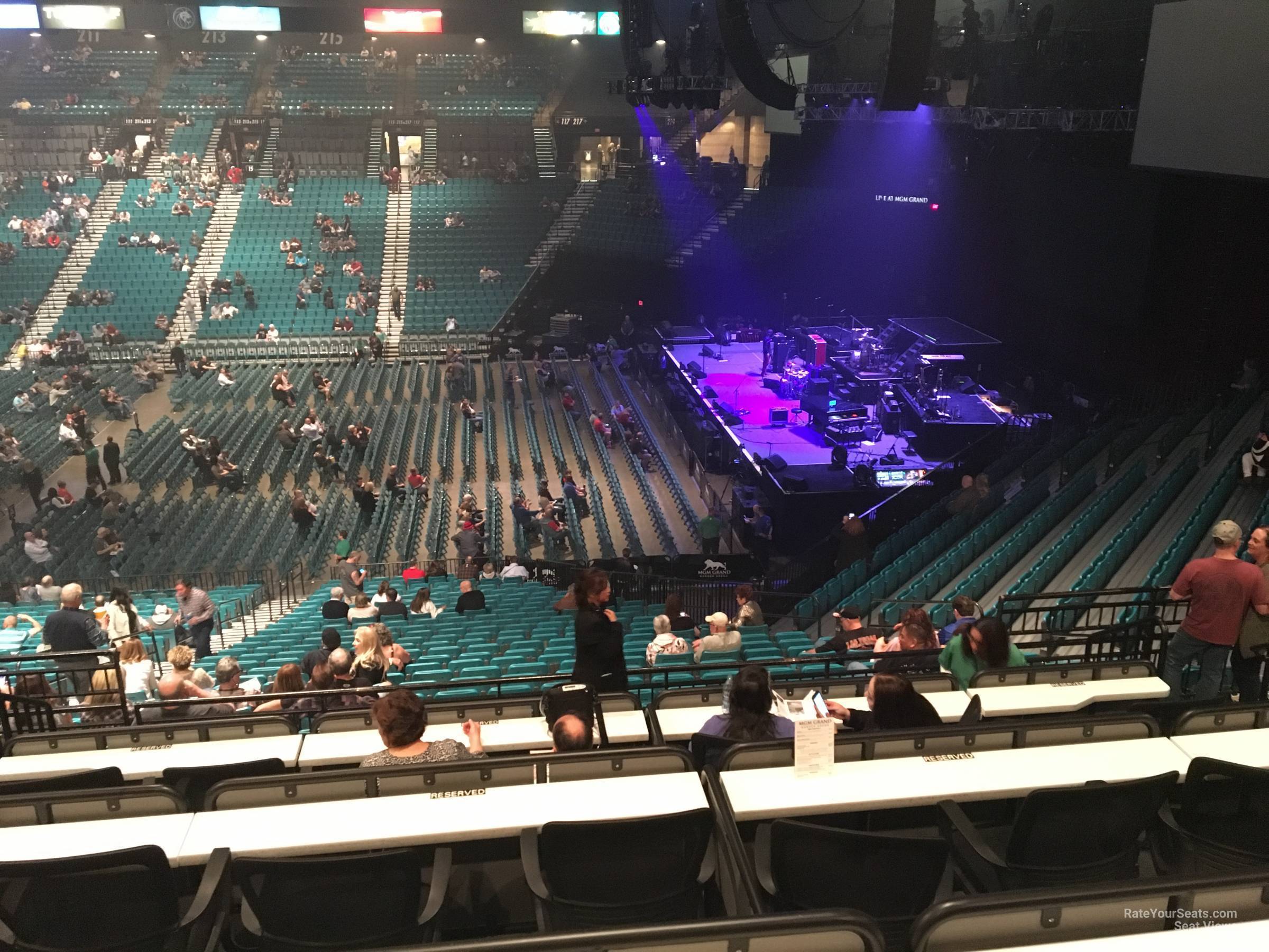 section 116, row ee seat view  - mgm grand garden arena