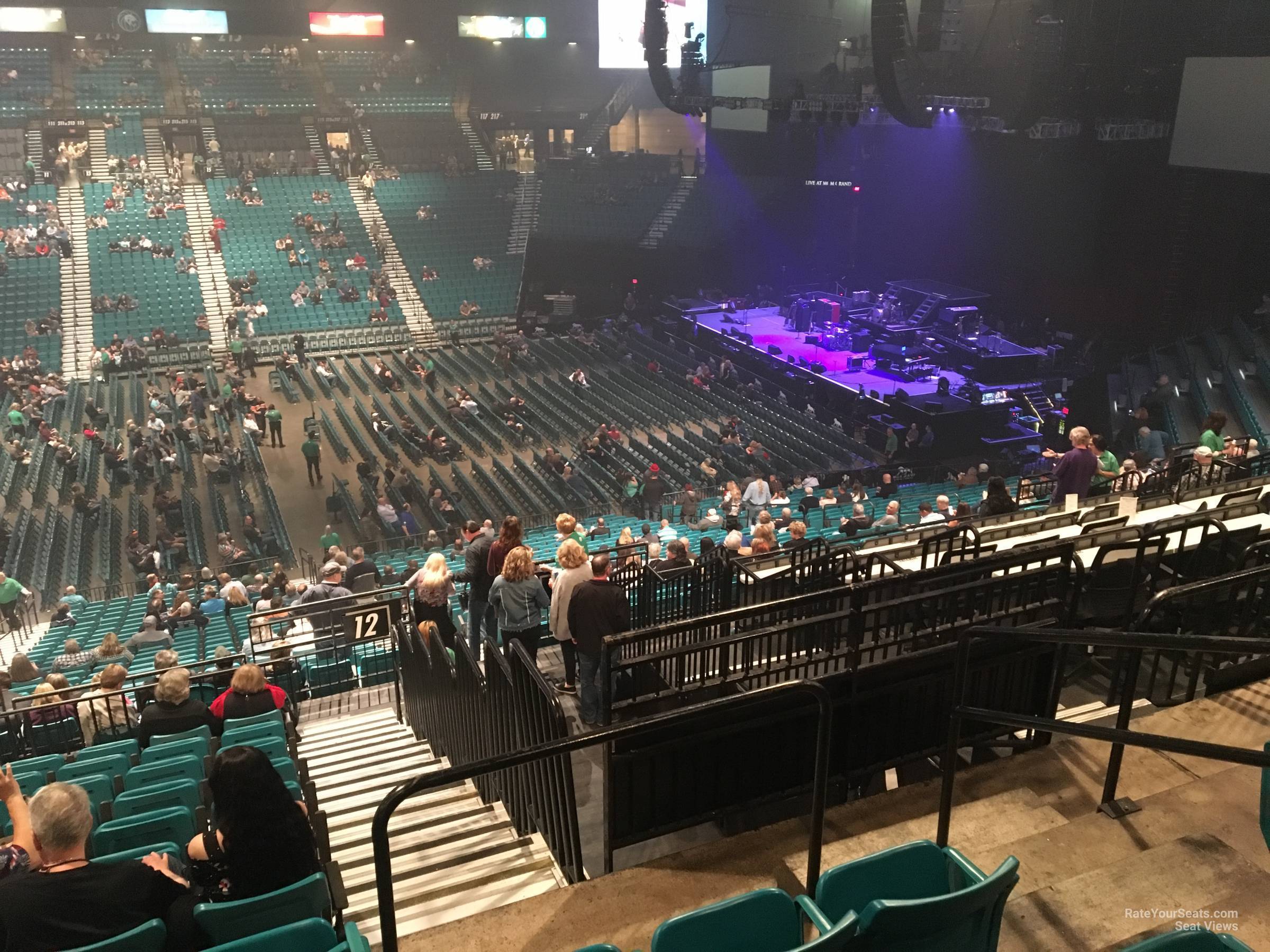 section 225, row f seat view  for concert - mgm grand garden arena
