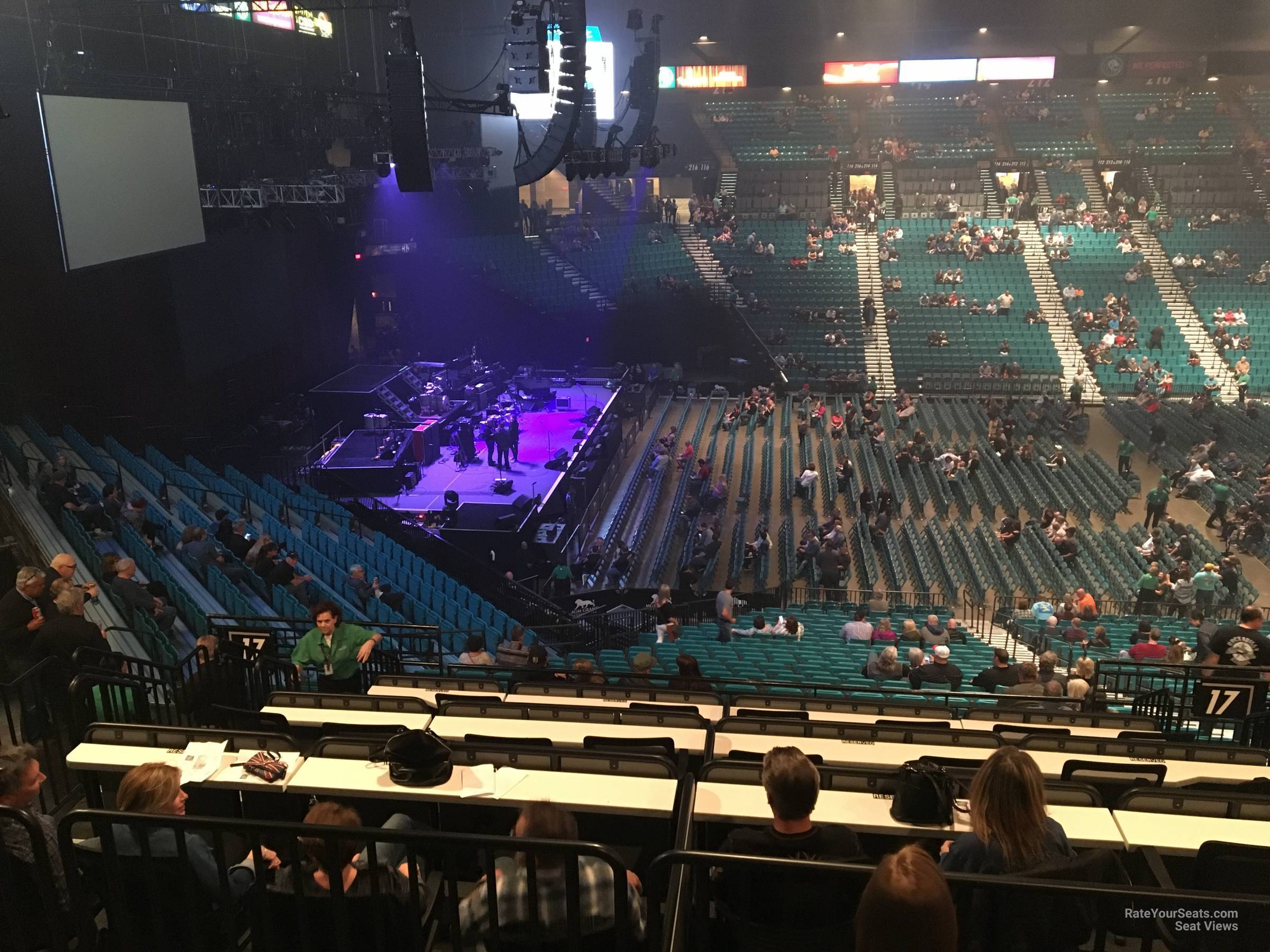 section 217, row f seat view  - mgm grand garden arena