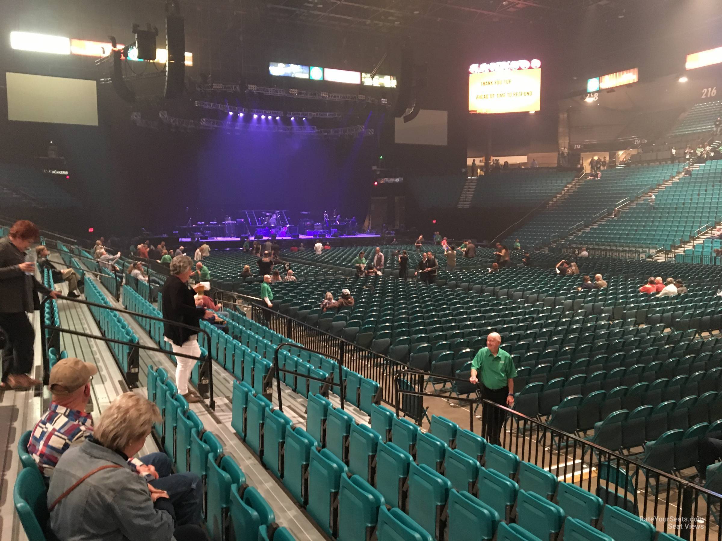 Mgm Grand Arena Seating Chart