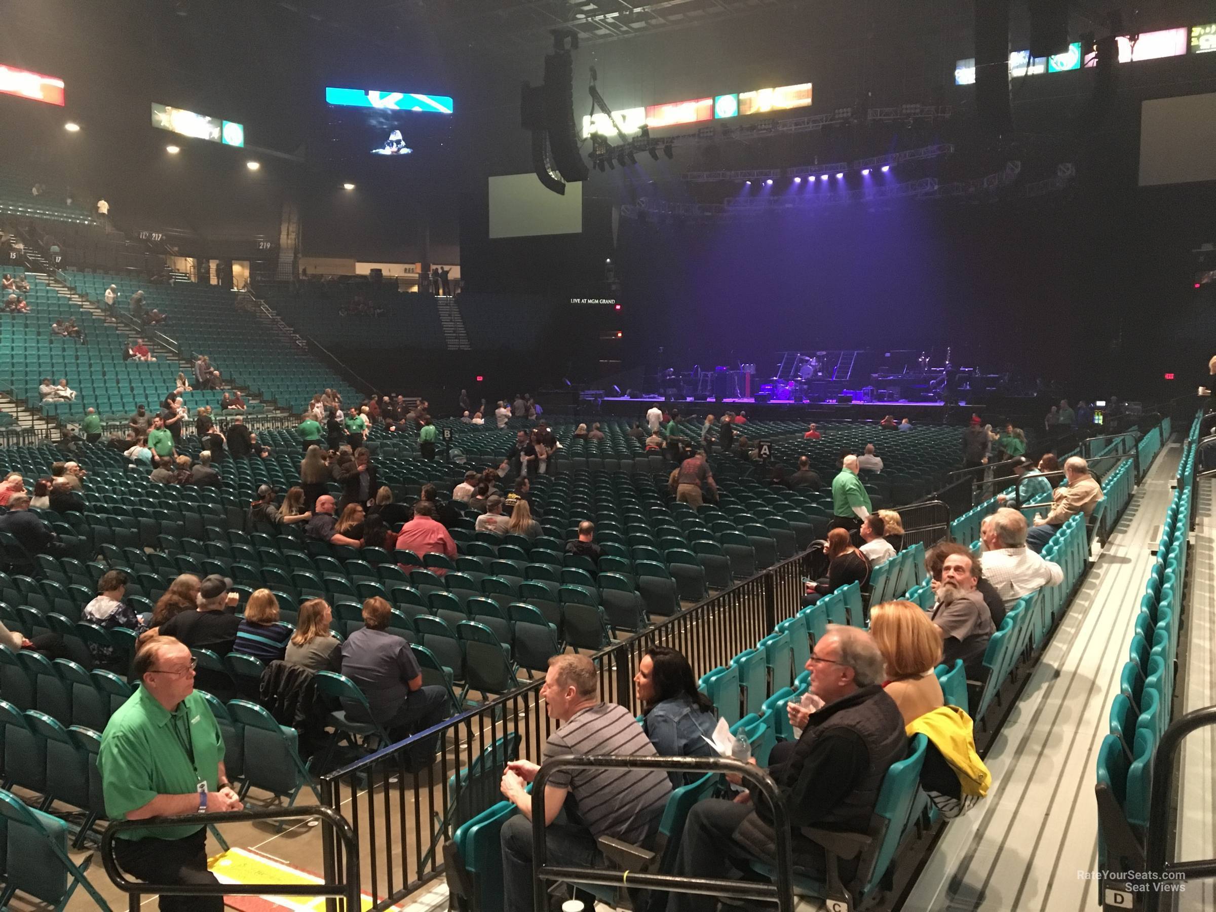 Mgm Grand Arena Las Vegas Seating Chart