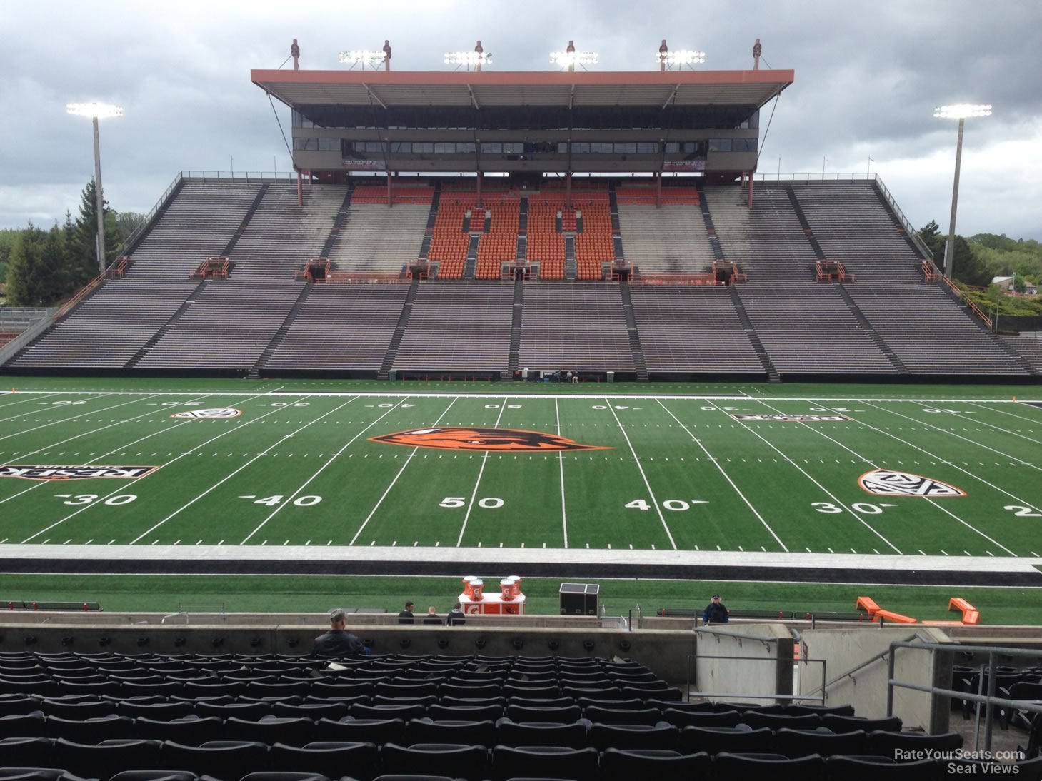 section 116, row 29 seat view  - reser stadium
