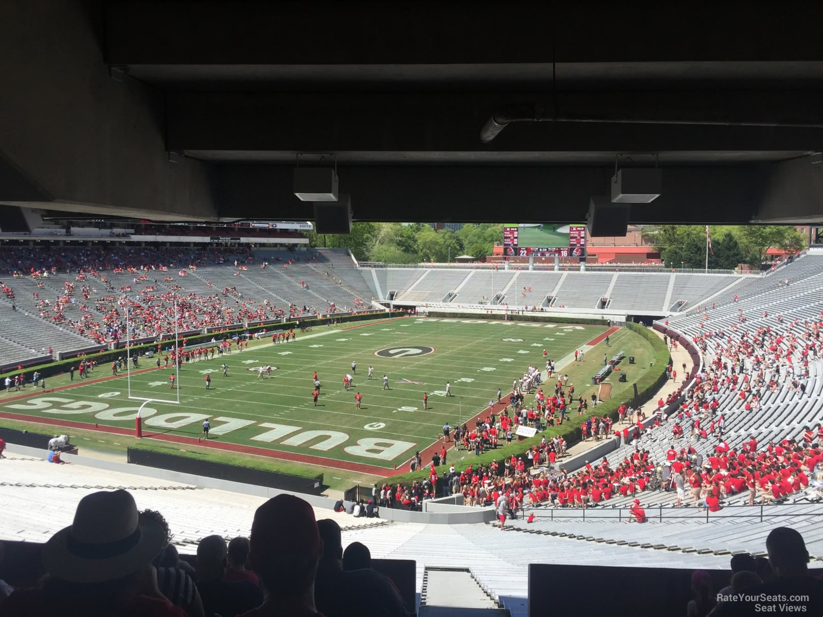 section 116, row 49 seat view  for football - sanford stadium
