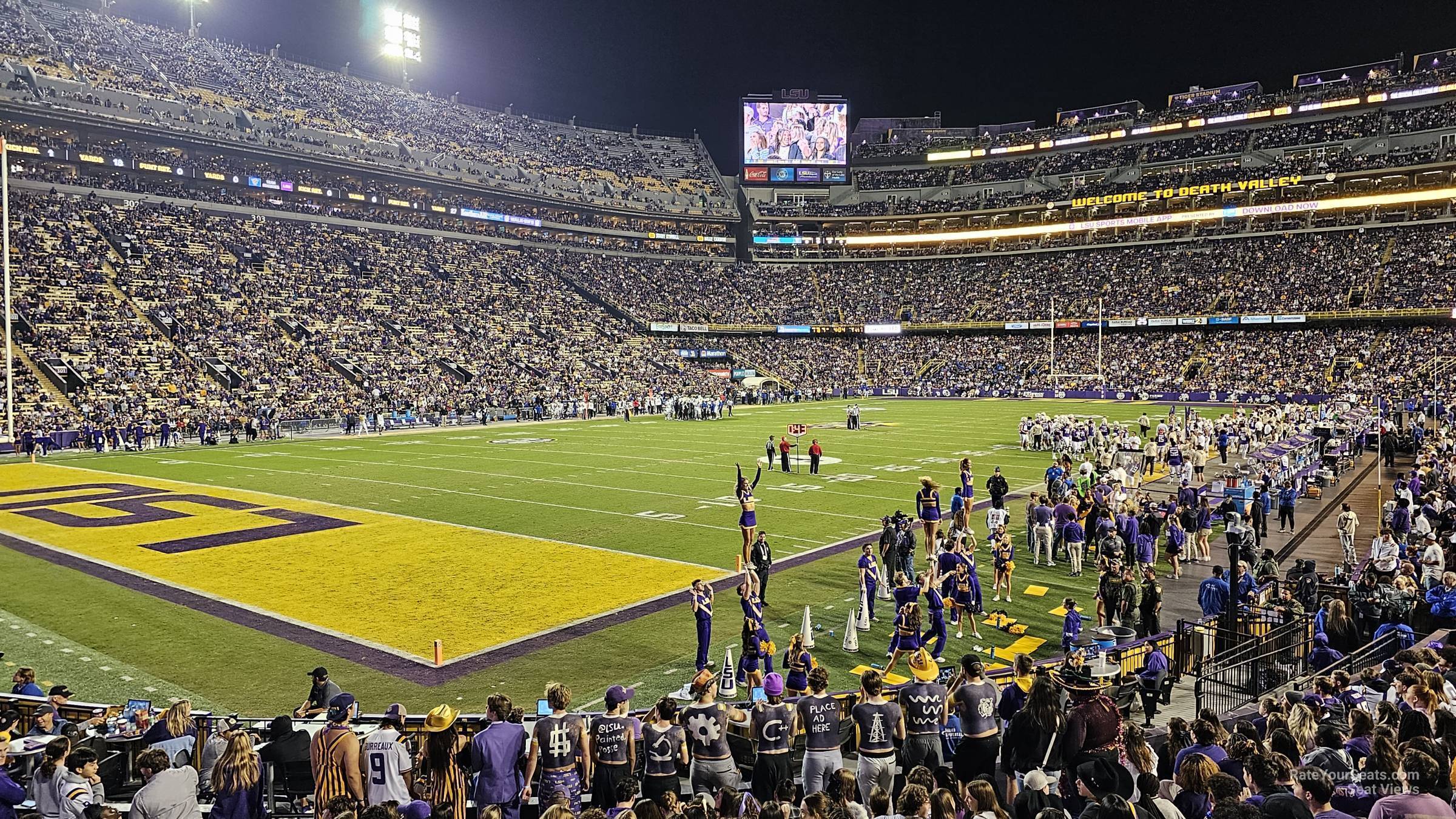 section 202, row 13 seat view  - tiger stadium