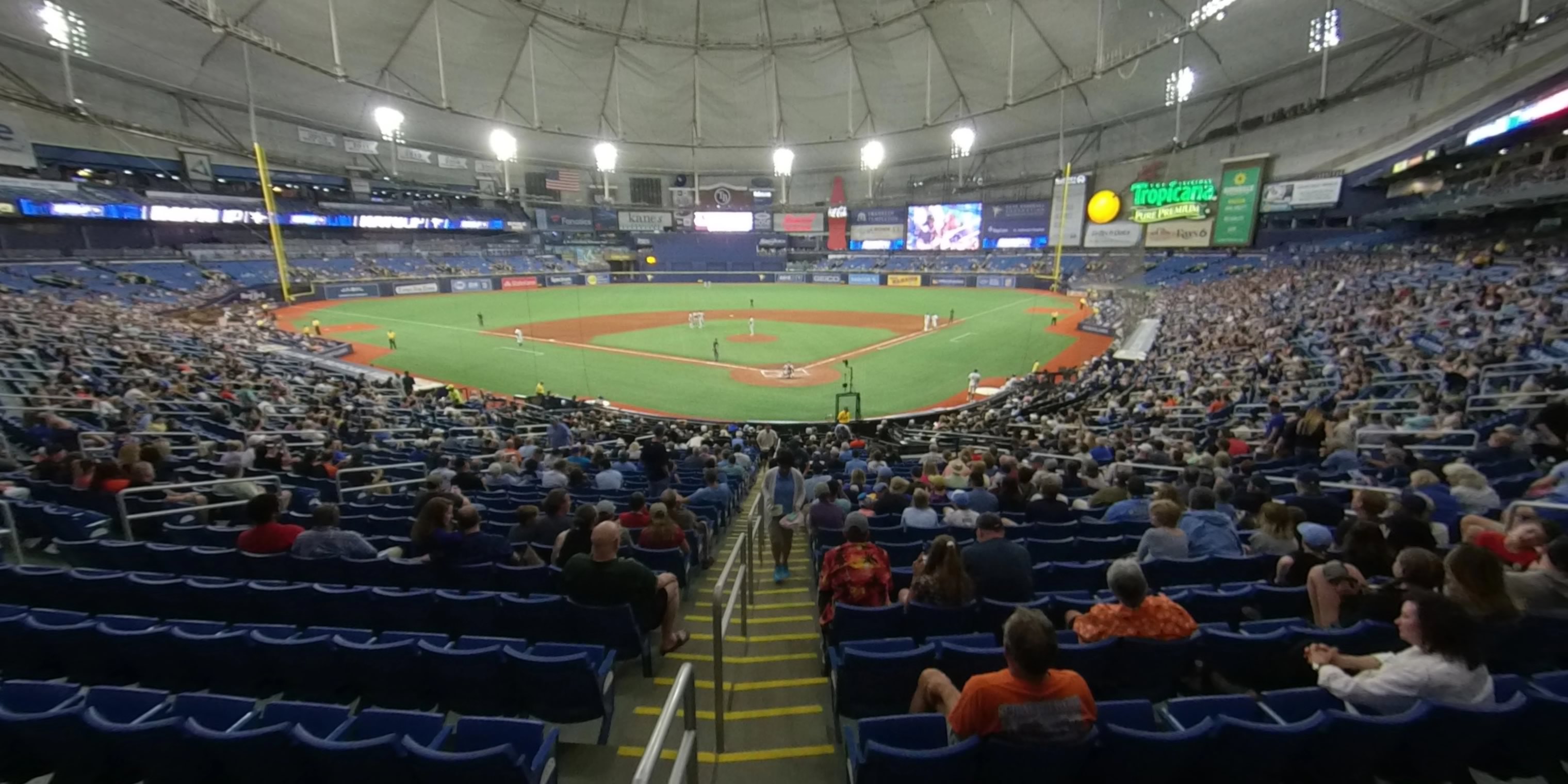 Section 101 at Tropicana Field