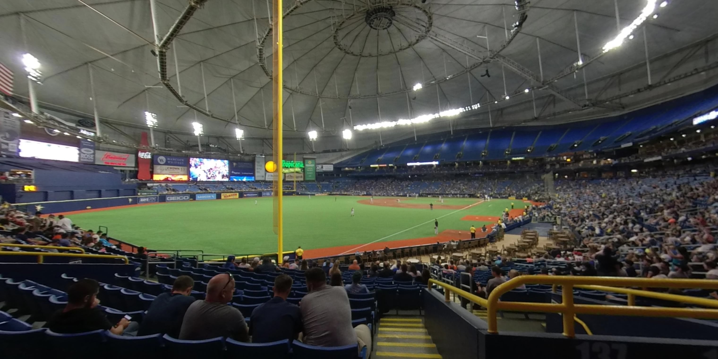 Section 137 At Tropicana Field