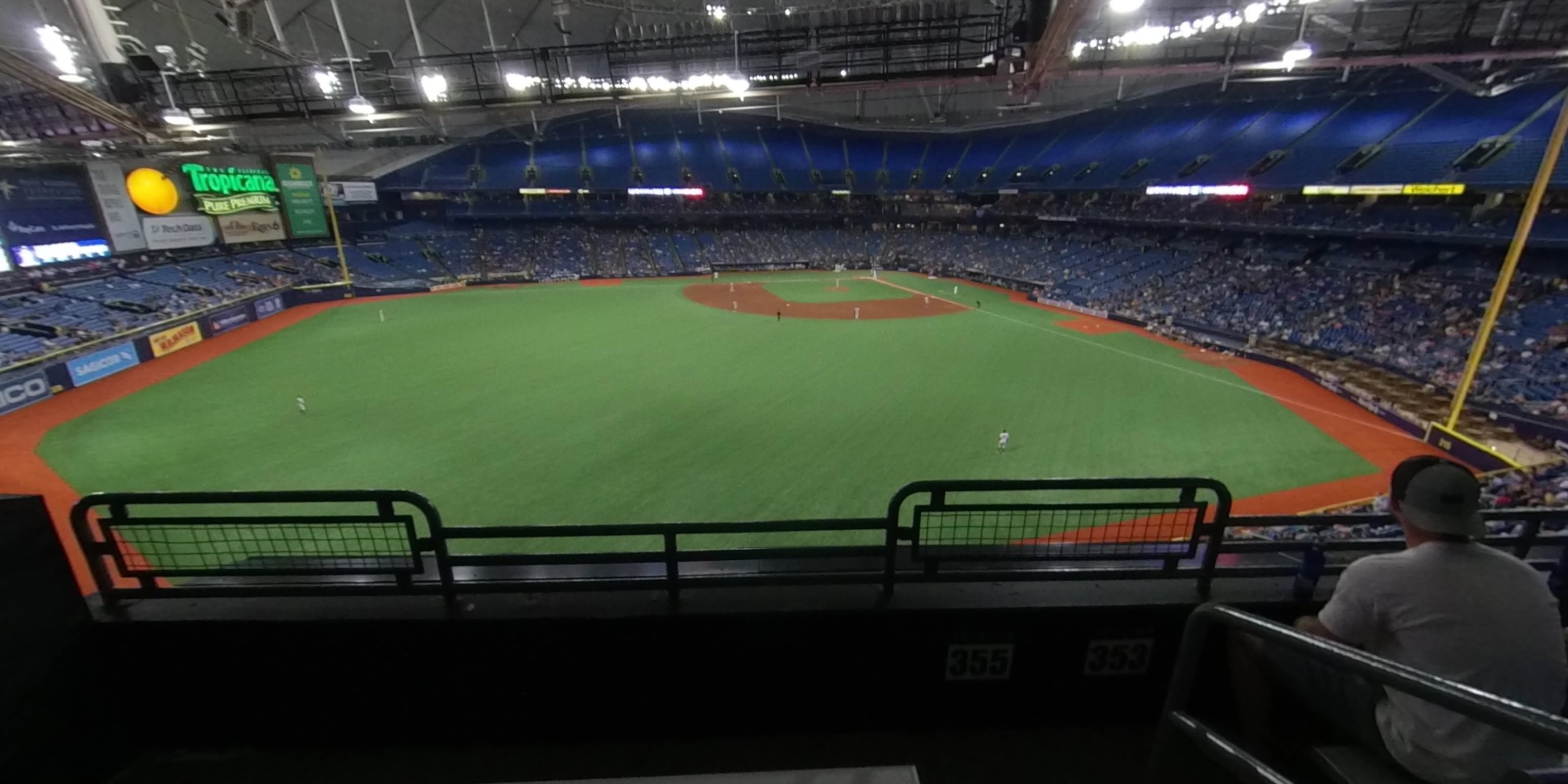 tbt* Party Deck - Tropicana Field