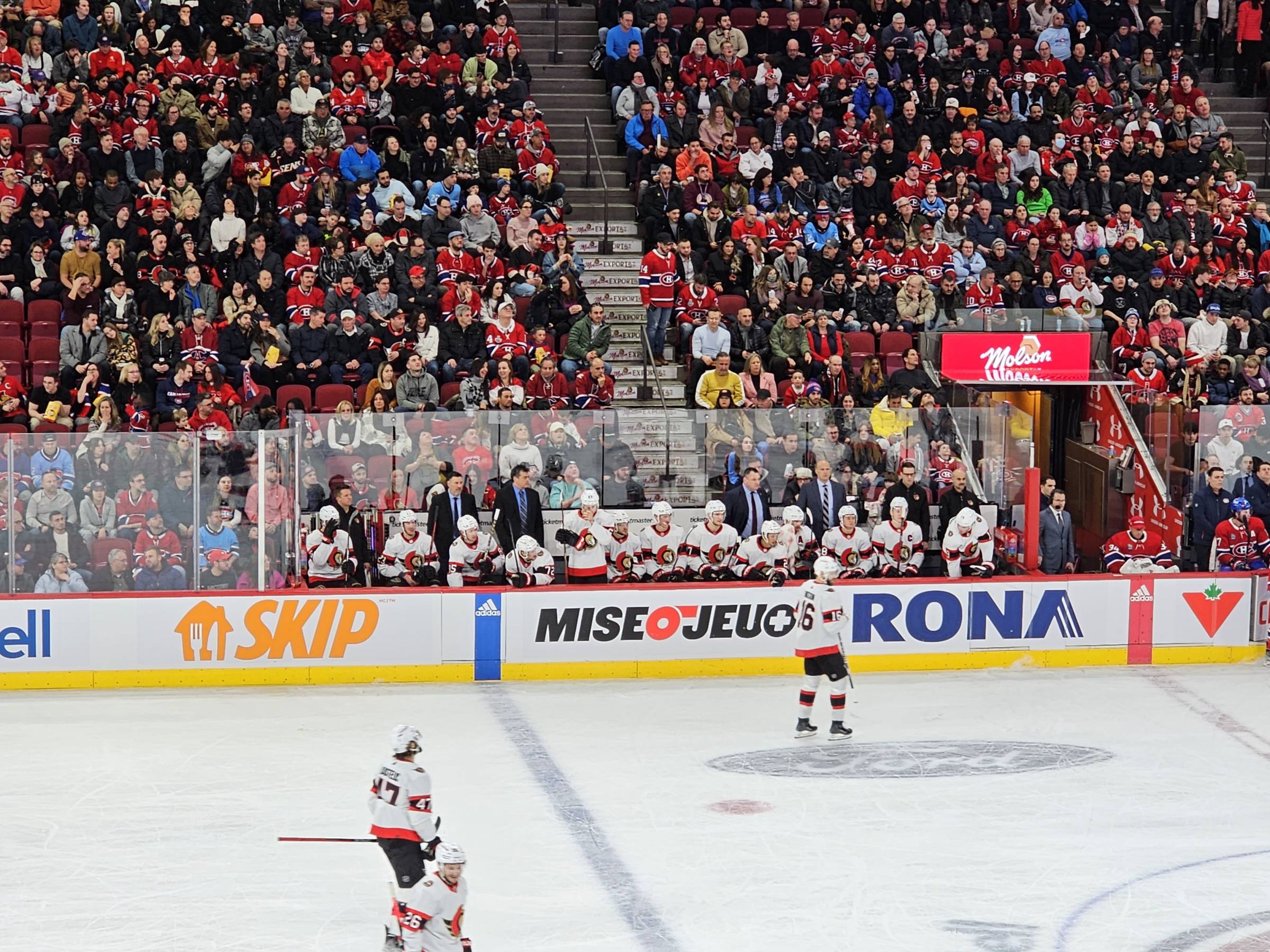 Visitor Bench at the Bell Centre