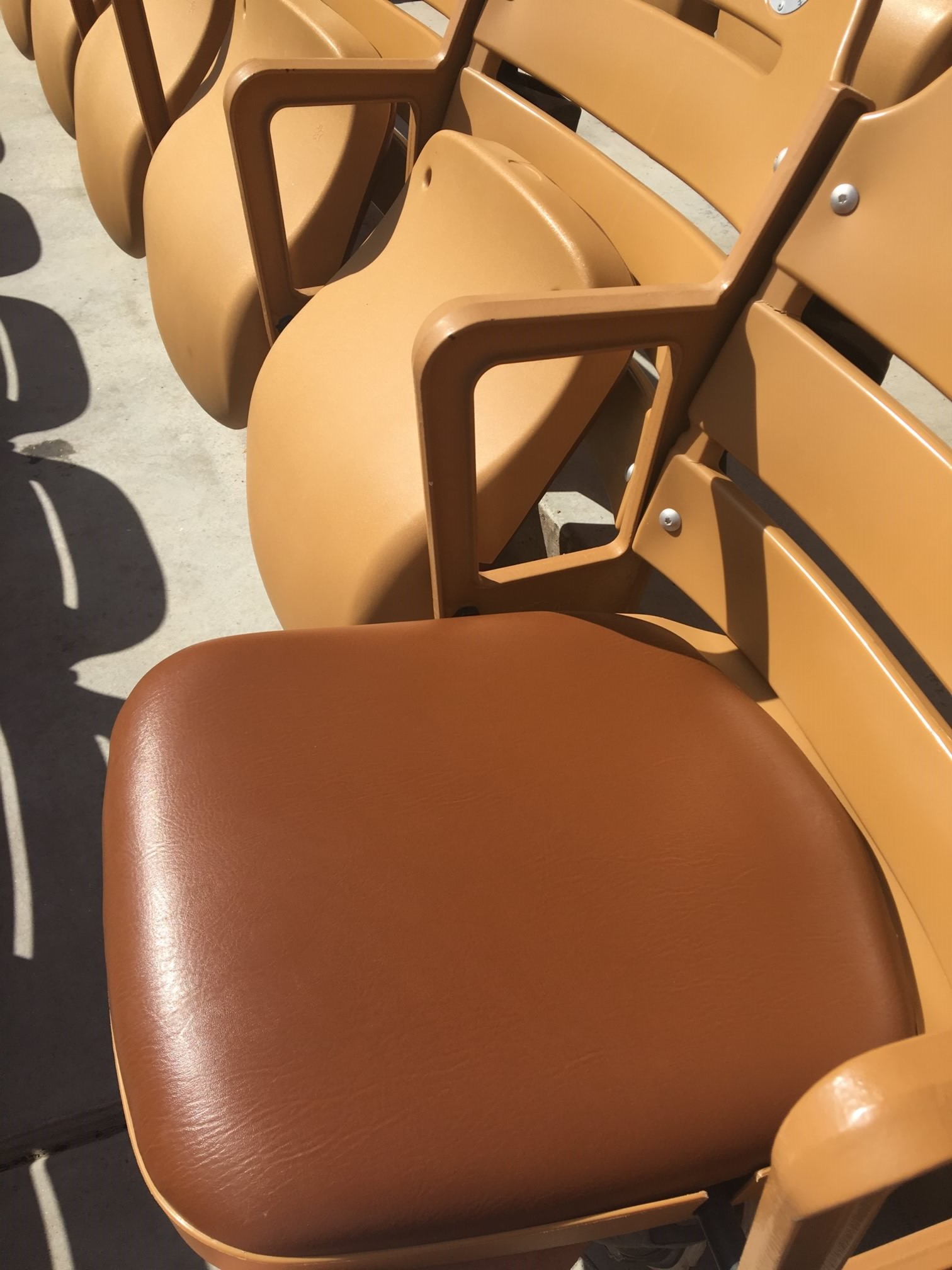 Camelback Ranch Padded Seats