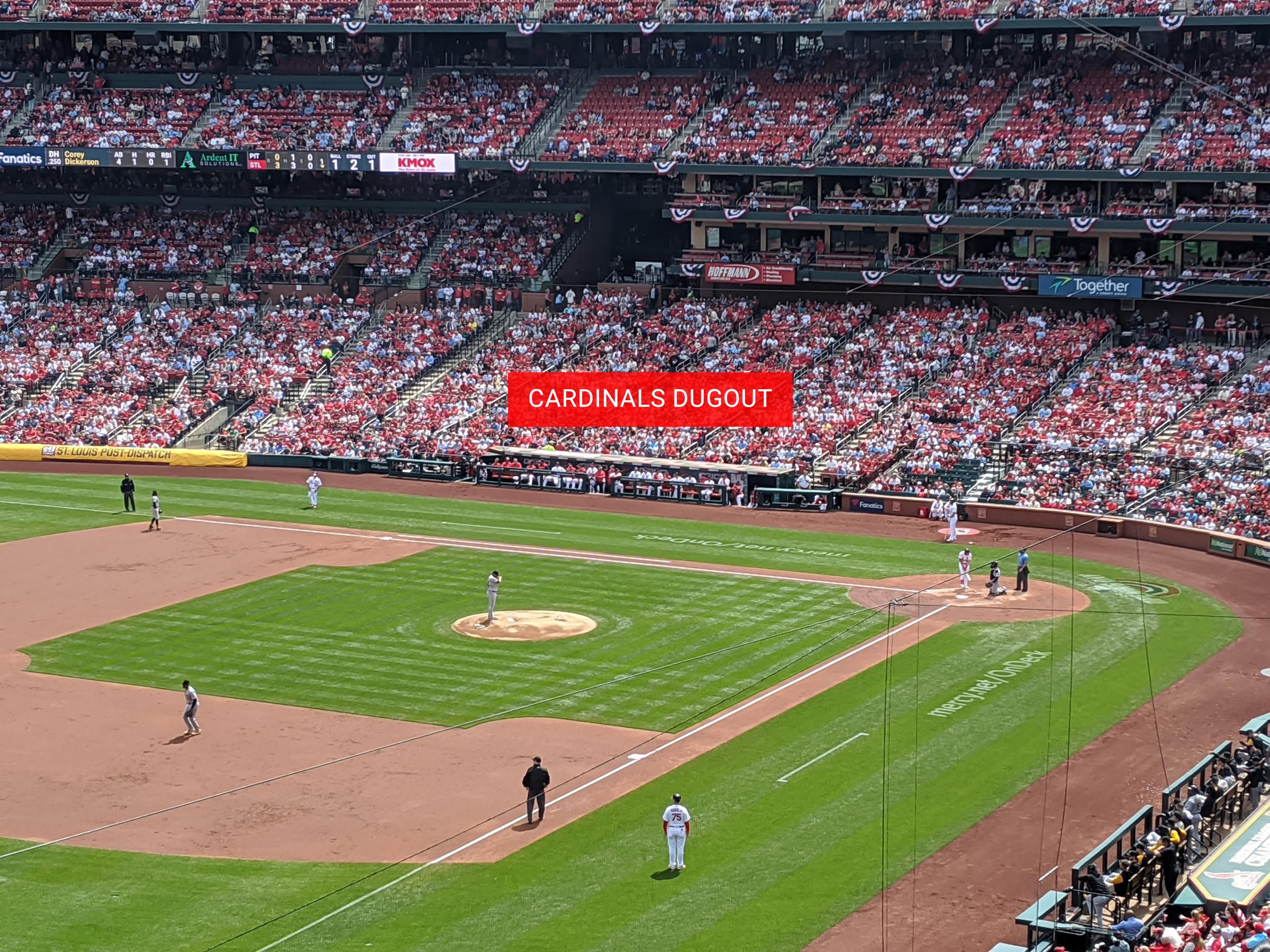 cardinals dugout busch stadium