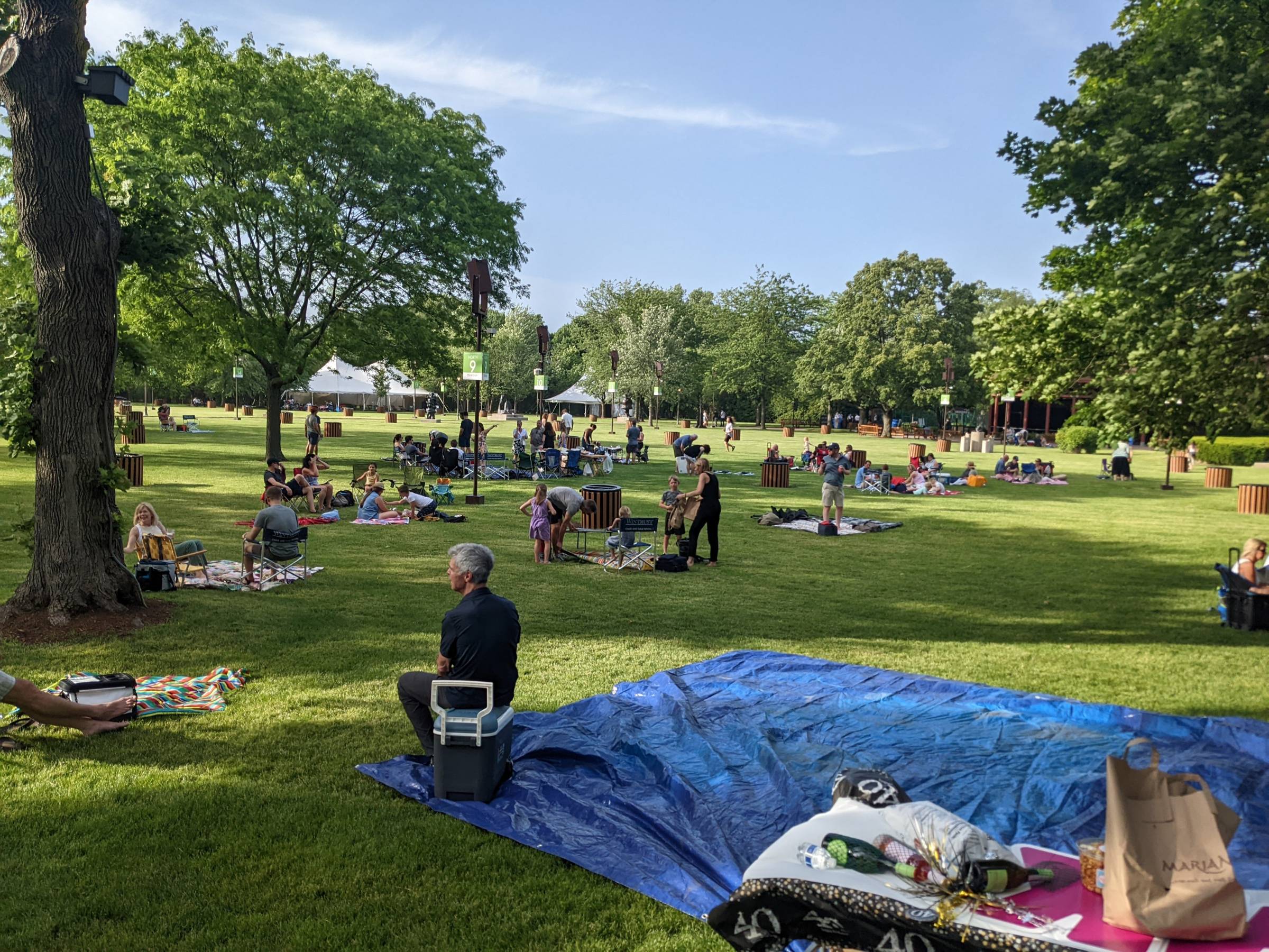 overview of the lawn at ravinia