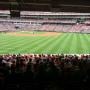 thumbnail of Section 141
