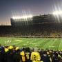 thumbnail of Section 42