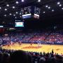 thumbnail of Section 205