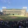 thumbnail of Section 116