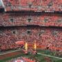 thumbnail of Section 513