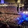 thumbnail of Section 203