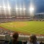 thumbnail of Section 229