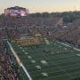 thumbnail of Section 339