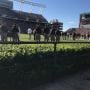 thumbnail of Section 18