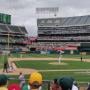 thumbnail of Section 115