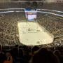 thumbnail of Section 229