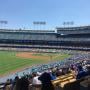 thumbnail of Section 161