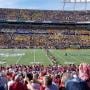 thumbnail of Section 107