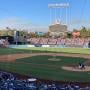 thumbnail of Section 109