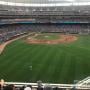 thumbnail of Section 239