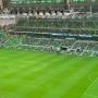 thumbnail of Section 309