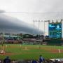 thumbnail of Section 131